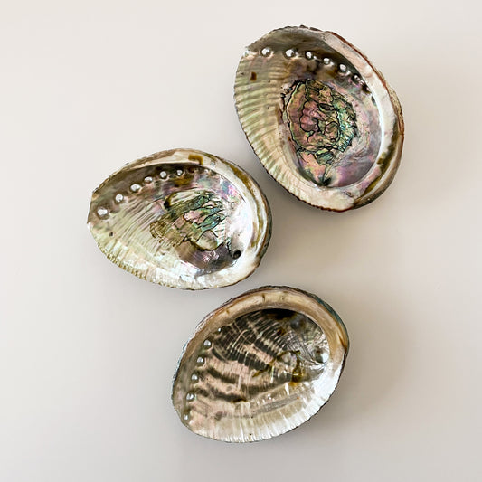 three abalone shells, two with visible threaded patterns, arranged on a plain background, intended for use as decorative bowls.