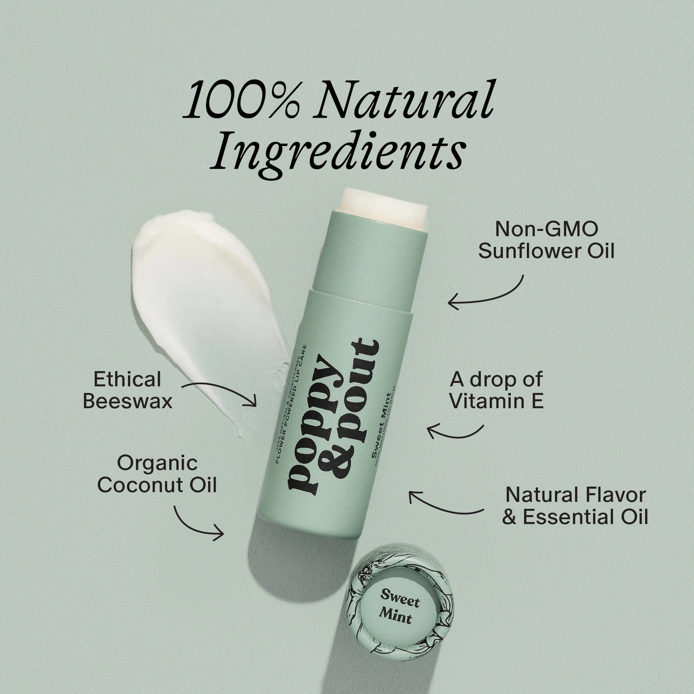 Sweet Mint Lip Balm