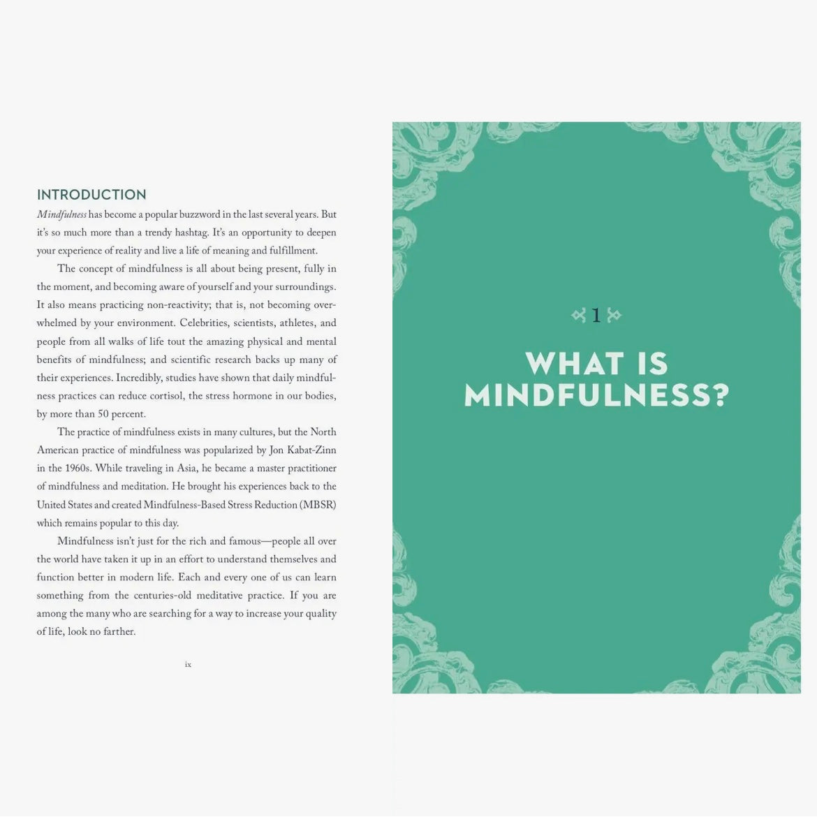 A Little Bit of Mindfulness Book By Amy Leigh Mercree