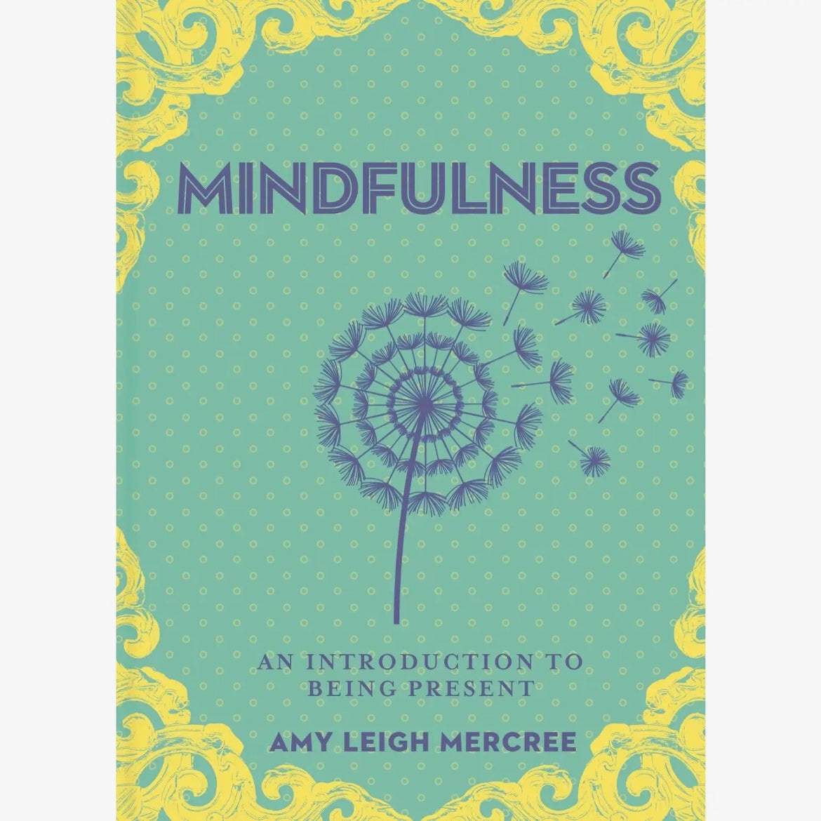 A Little Bit of Mindfulness Book By Amy Leigh Mercree