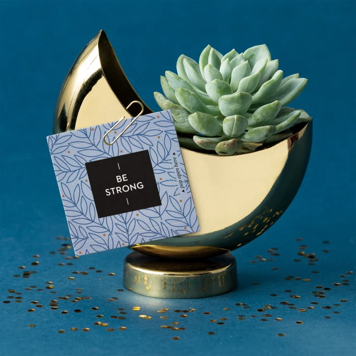 A decorative succulent in a gold-toned ceramic bowl with a matching round base, styled on a blue surface with scattered gold confetti. A blue patterned tag with a black center reading “BE STRONG” is attached to the bowl.