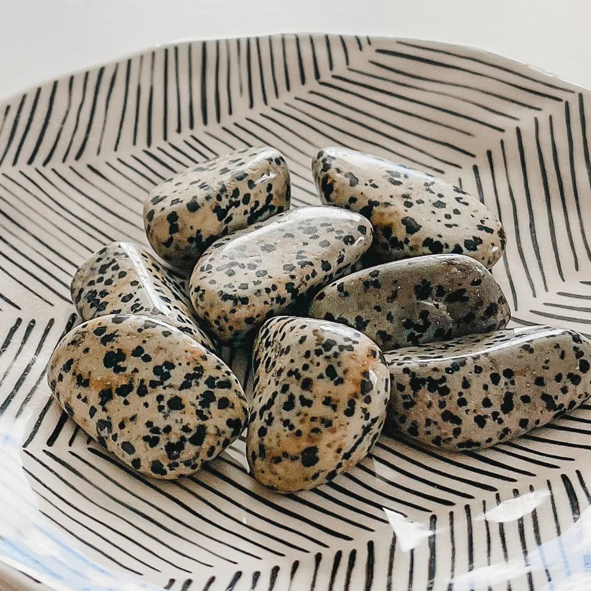 Dalmatian Jasper Tumbled Stone